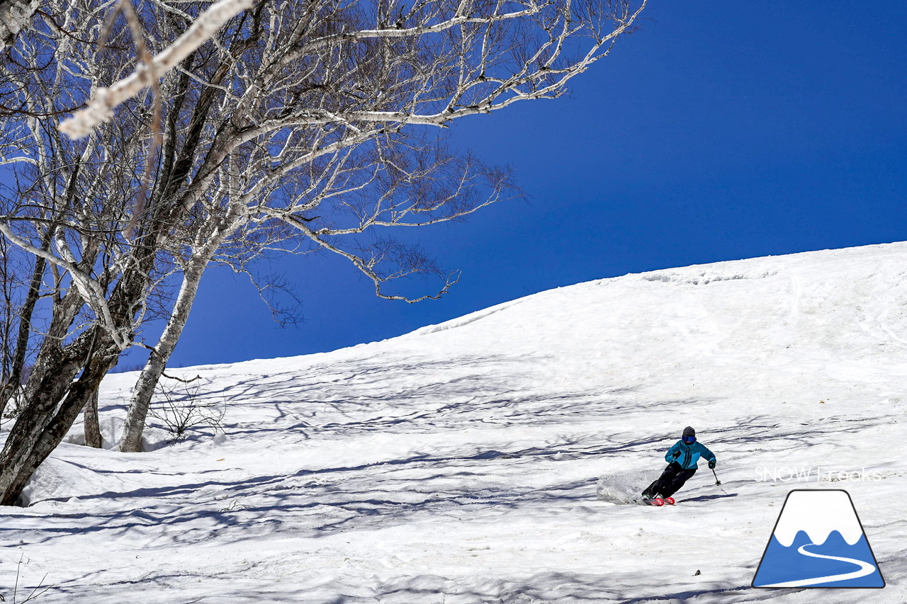 ニセコグラン・ヒラフ DYNASTAR SKI TEST RIDE DAYS Photo Session!!最高の天気に恵まれたニセコに、最高の仲間たちが集まりました☆